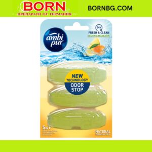 BORNBG.COM 2025 06 09T135523.490
