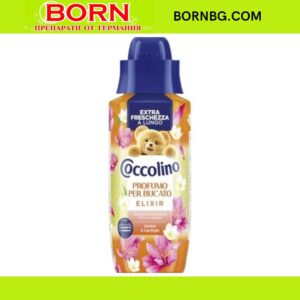 BORNBG.COM 2025 06 11T154143.539