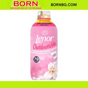 BORNBG.COM 2025 06 16T155045.532