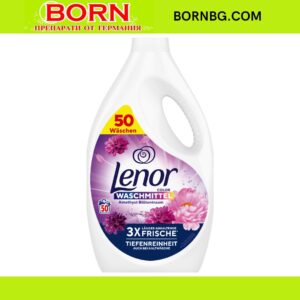BORNBG.COM 2025 08 14T120157.755