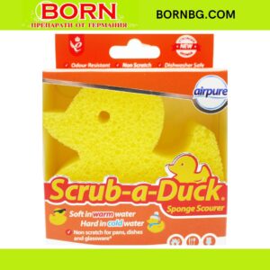 BORNBG.COM 2025 11 17T114009.559