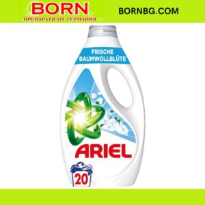 BORNBG.COM 2025 11 18T103009.907