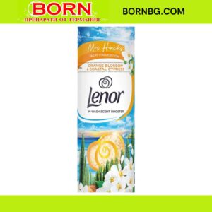 BORNBG.COM 2025 11 26T115119.690