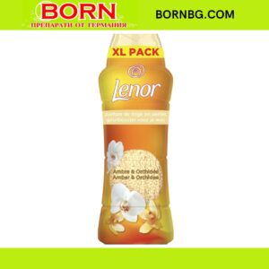 BORNBG.COM 2025 11 26T130956.567