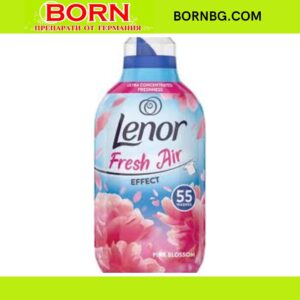 BORNBG.COM 2025 11 26T133206.833