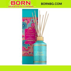 BORNBG.COM 2025 11 27T173637.891