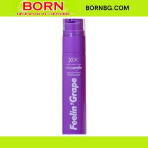 BORNBG.COM 2025 12 11T114207.131