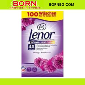 BORNBG.COM 2025 12 11T150742.628
