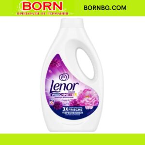 BORNBG.COM 2025 12 11T154230.600