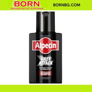 BORNBG.COM 2025 12 24T114344.306
