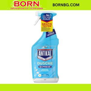 BORNBG.COM 2025 12 26T111415.552