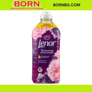 BORNBG.COM 2025 12 30T162442.015