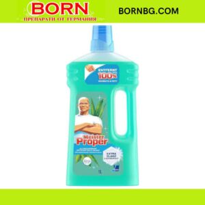 BORNBG.COM 2026 01 05T104858.153