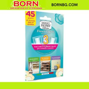 BORNBG.COM 2026 01 05T141316.522