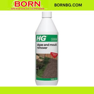 BORNBG.COM 2026 05 05T104011.769
