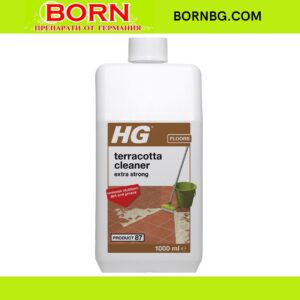 BORNBG.COM 2026 05 05T152152.020