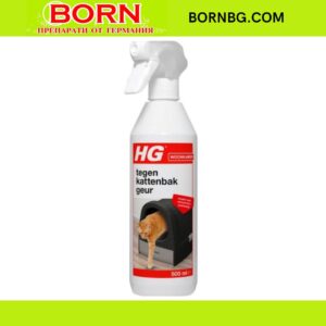 BORNBG.COM 2026 05 06T140233.149